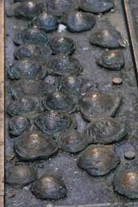 14082012- Ferrara -IMG_5521_-2