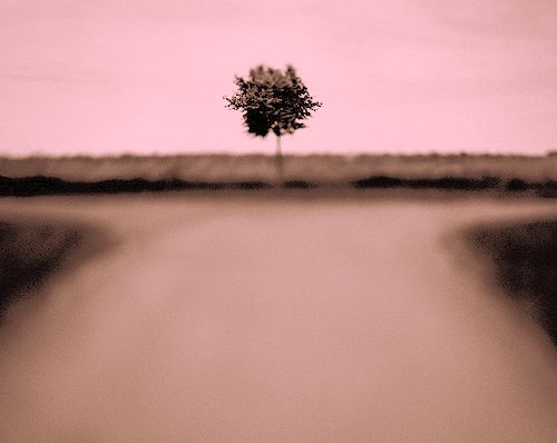 Le ragioni di una scelta.